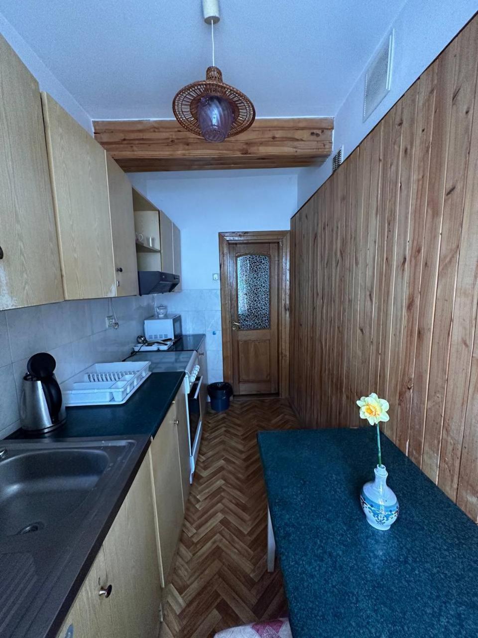 Роксолана Bed and Breakfast Truskavets Buitenkant foto